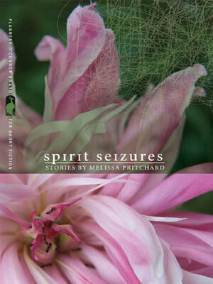 cover image of Spirit Seizures